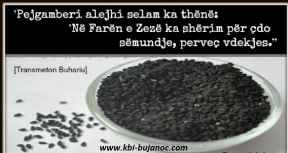 Fara e zeze ilaç që shëron çdo sëmundje