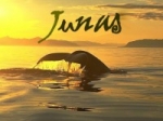 Vlera e lutjes së Junusit a.s (lutja për situata të vështira)