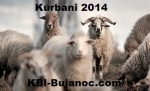 Kurbani 2014