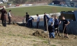 Nxënësit e medresesë së Cazinit mbjellin një plantacion me arra